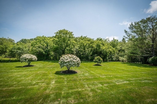 19 Garden St Unit 107, Danvers, MA 01923 - view of green lawn