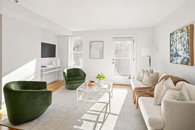 living room with wood-type flooring