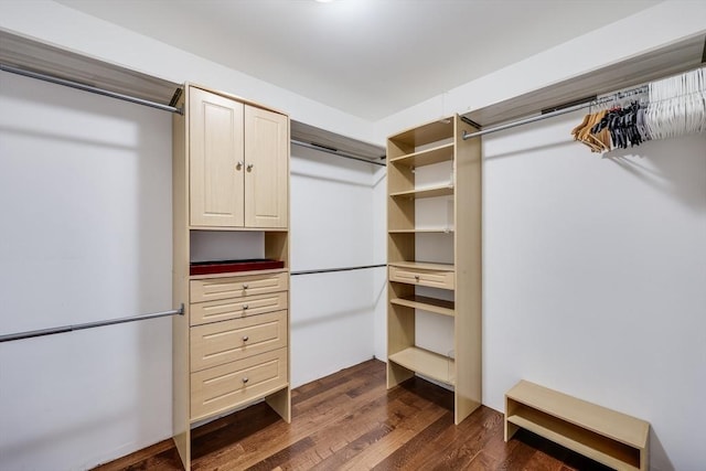 spacious closet featuring dark hardwood / wood-style floors