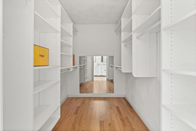spacious closet featuring wood finished floors
