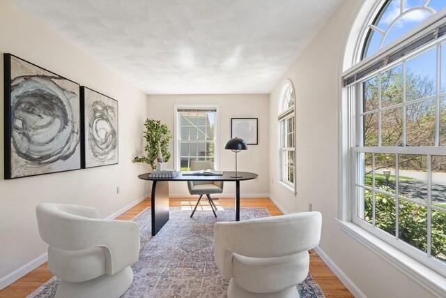 office featuring baseboards and plenty of natural light