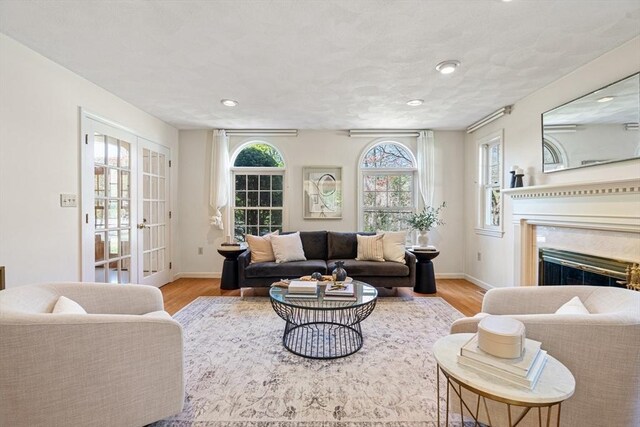 living area with recessed lighting, baseboards, wood finished floors, and a fireplace