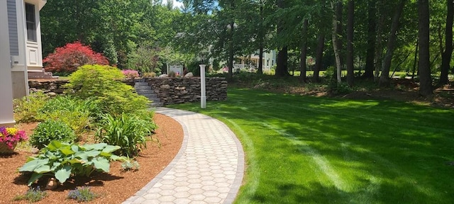 view of home's community featuring a yard