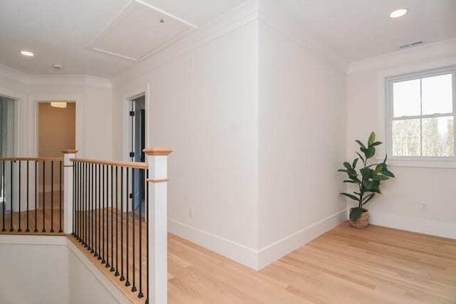 corridor featuring crown molding and wood-type flooring