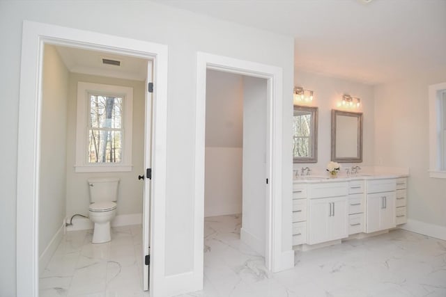 bathroom with toilet and vanity