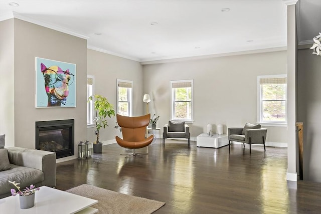 122 Green St, Northborough, MA 01532 - living area featuring crown molding, a glass covered fireplace, wood finished floors, baseboards, and recessed lighting