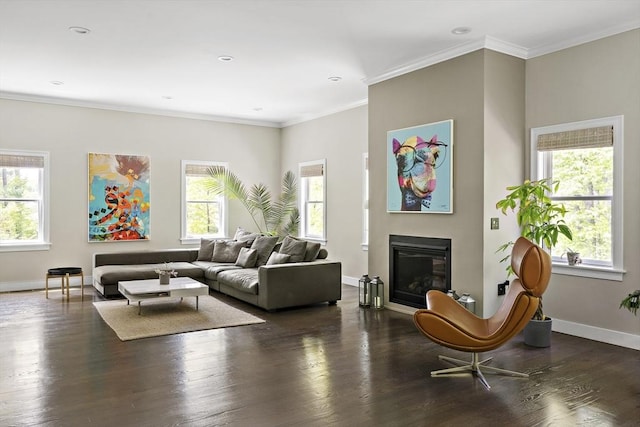 122 Green St, Northborough, MA 01532 - living area featuring baseboards, healthy amount of natural light, a glass covered fireplace, crown molding, and recessed lighting