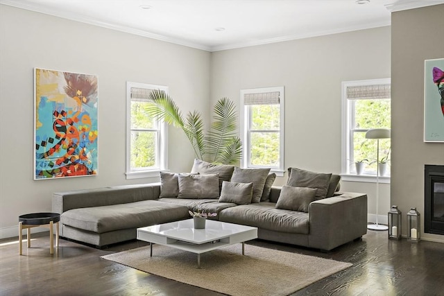 122 Green St, Northborough, MA 01532 - living room with plenty of natural light, dark wood-type flooring, baseboards, and crown molding