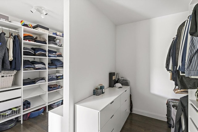 122 Green St, Northborough, MA 01532 - spacious closet with dark wood-type flooring