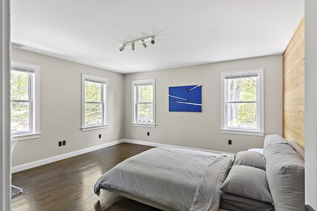122 Green St, Northborough, MA 01532 - bedroom with multiple windows, track lighting, dark wood-type flooring, and baseboards