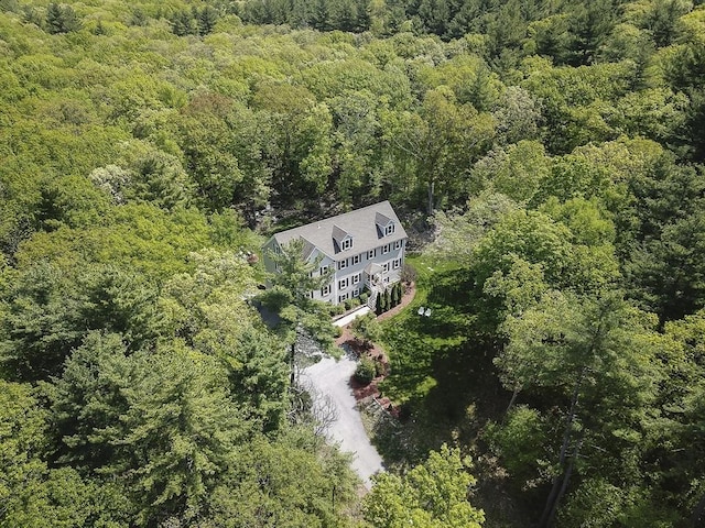122 Green St, Northborough, MA 01532 - view of subject property with a heavily wooded area