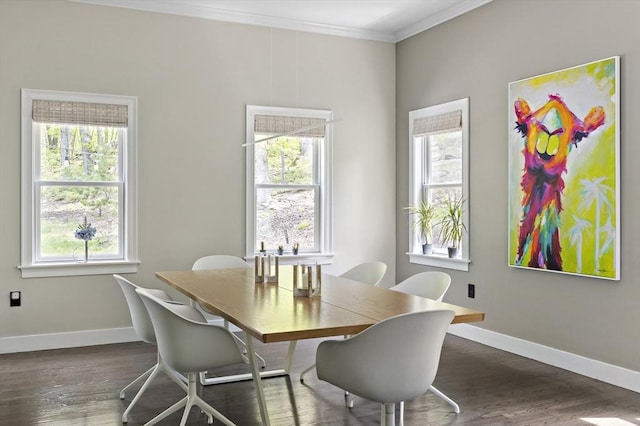 122 Green St, Northborough, MA 01532 - dining room with crown molding, baseboards, dark wood-style floors, and healthy amount of natural light
