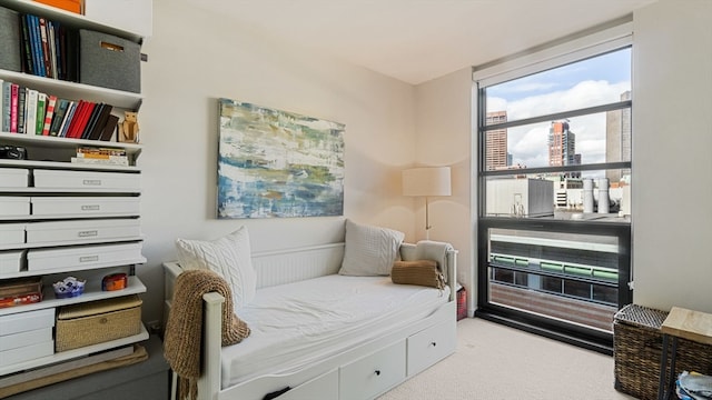 view of carpeted bedroom