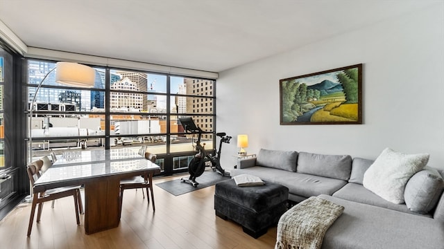 living room with floor to ceiling windows and hardwood / wood-style floors