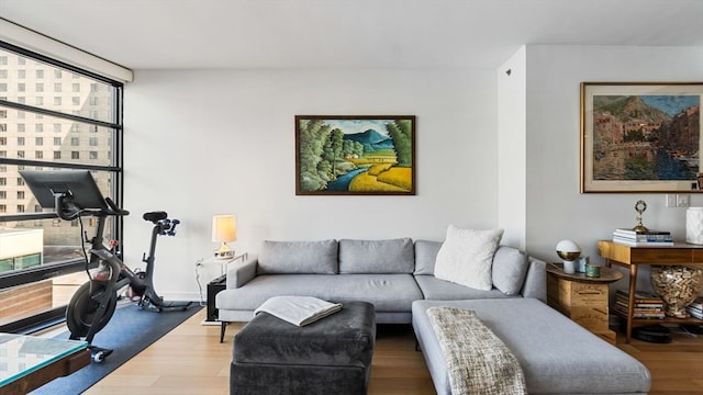 living room featuring wood-type flooring and expansive windows