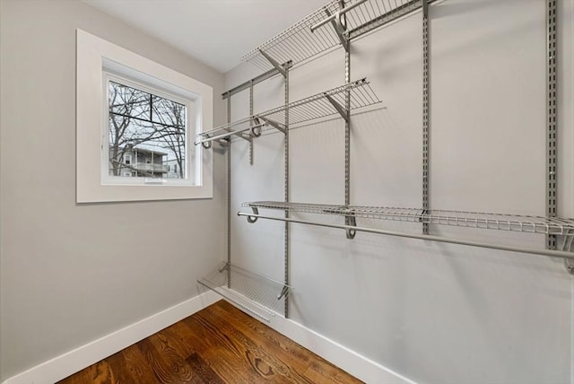 spacious closet with wood-type flooring