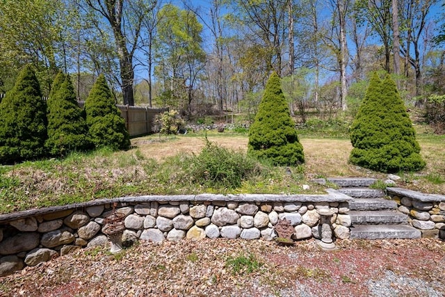 view of yard with fence