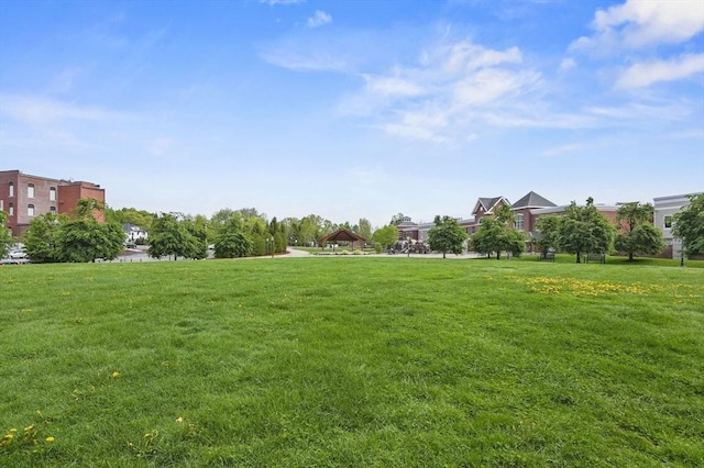 view of grassy yard