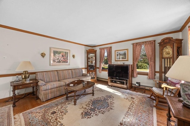 living room with light wood-type flooring, a baseboard radiator, and crown molding