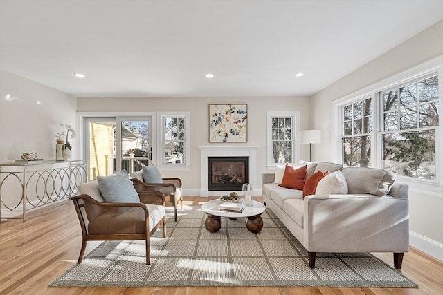 living room featuring a healthy amount of sunlight and light hardwood / wood-style floors