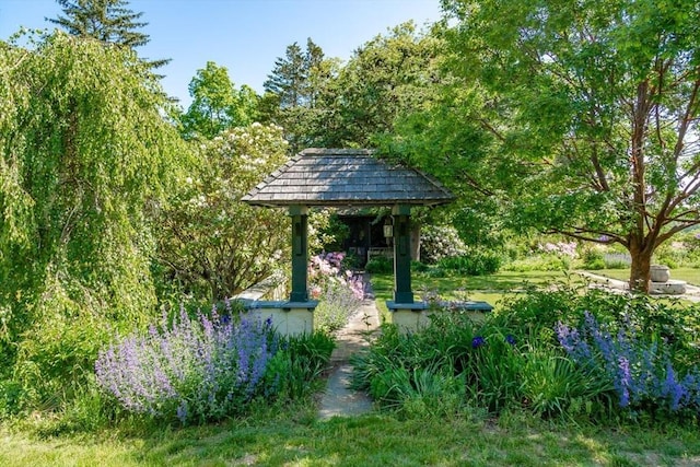 view of property's community featuring a gazebo