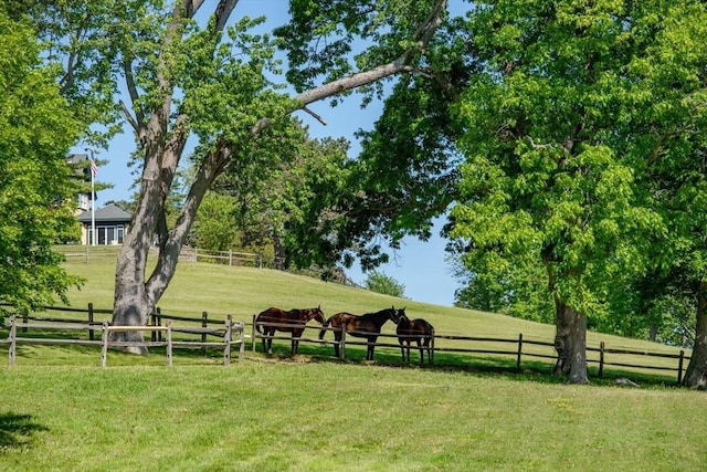 view of community featuring a yard, fence, and a rural view