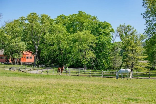 view of yard featuring a rural view and fence