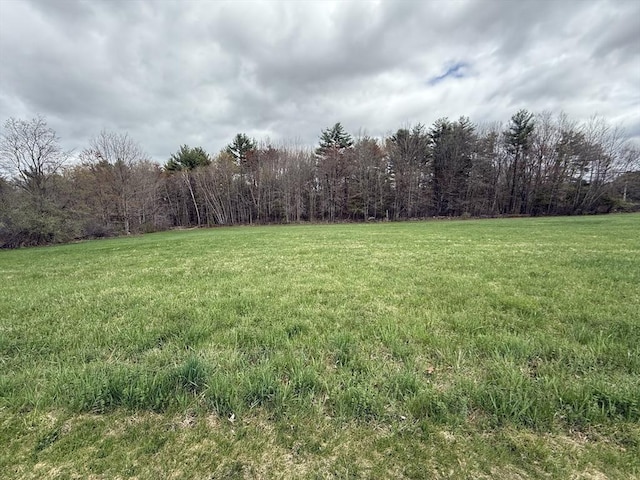 view of yard with a view of trees
