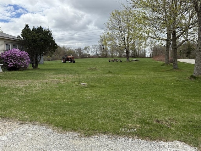 view of yard