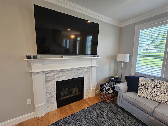 38 John Perkins Way, Middleboro, MA 02346 - living room featuring wood finished floors, a premium fireplace, crown molding, and baseboards