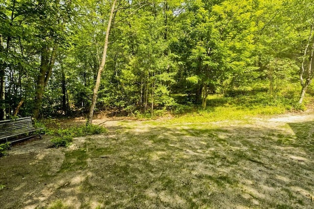 24 Old Jarvis Ave, Holyoke, MA 01040 - view of yard featuring a forest view