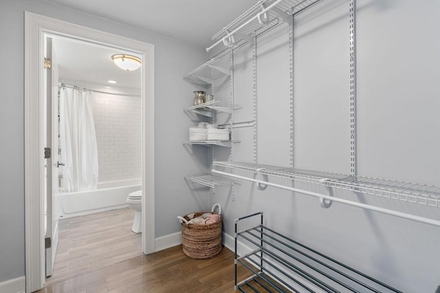 spacious closet featuring wood finished floors