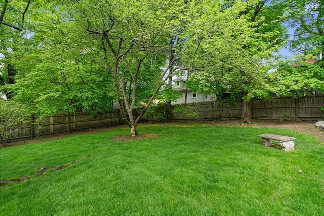22 Adams Ave, Watertown, MA 02472 - view of yard with a fenced backyard