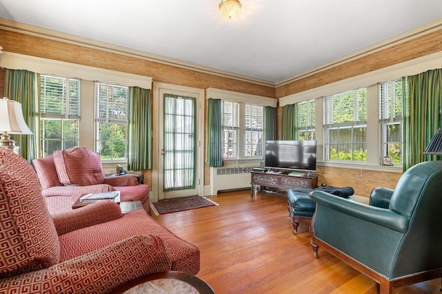 22 Adams Ave, Watertown, MA 02472 - sunroom featuring radiator heating unit