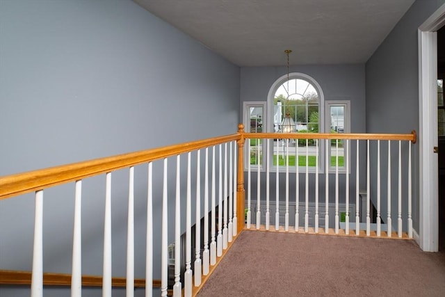 hallway featuring carpet floors