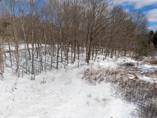 0 Cross Rd, West Stockbridge, MA 01266