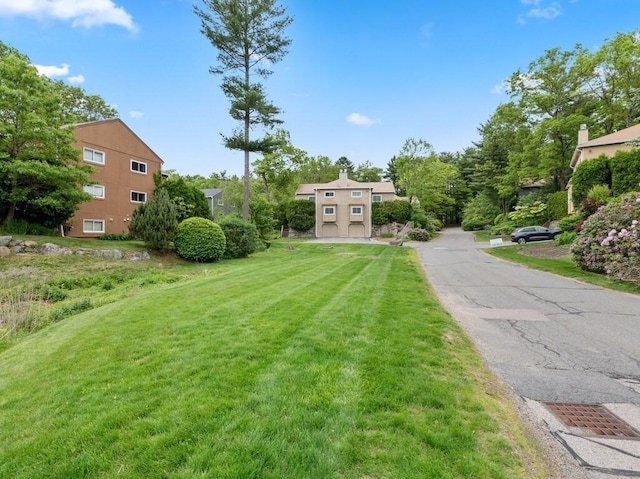 3 Loyalist Dr Unit 3, Uxbridge, MA 01569 - view of grassy yard