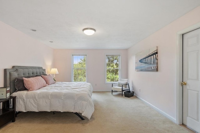 31 Fort Pond Hill Rd, Littleton, MA 01460 - bedroom featuring light carpet and baseboards