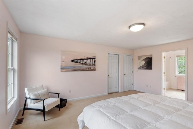 31 Fort Pond Hill Rd, Littleton, MA 01460 - carpeted bedroom featuring ensuite bathroom and two closets