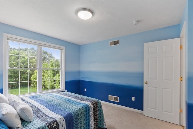 31 Fort Pond Hill Rd, Littleton, MA 01460 - carpeted bedroom with baseboards