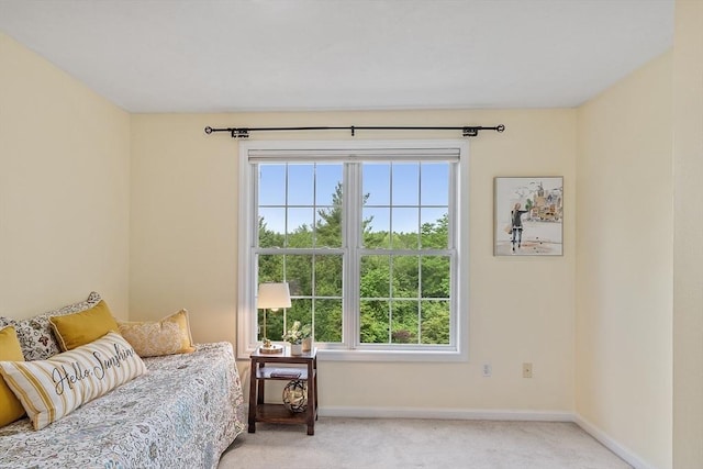 31 Fort Pond Hill Rd, Littleton, MA 01460 - bedroom with carpet flooring
