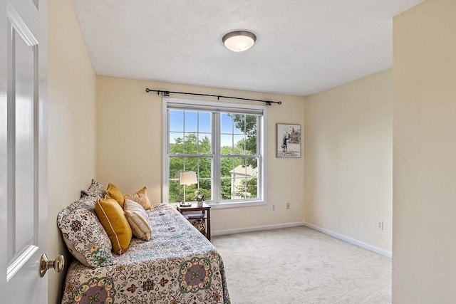 31 Fort Pond Hill Rd, Littleton, MA 01460 - sitting room with carpet floors and baseboards