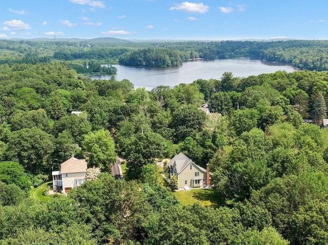 31 Fort Pond Hill Rd, Littleton, MA 01460 - drone / aerial view of a heavily wooded area and a large body of water