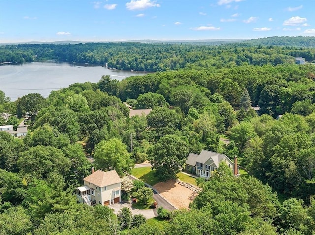 31 Fort Pond Hill Rd, Littleton, MA 01460 - bird's eye view of a heavily wooded area and a large body of water