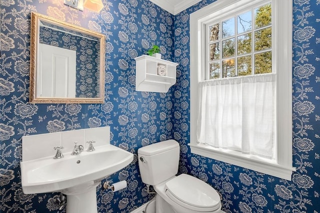 bathroom with a sink and toilet