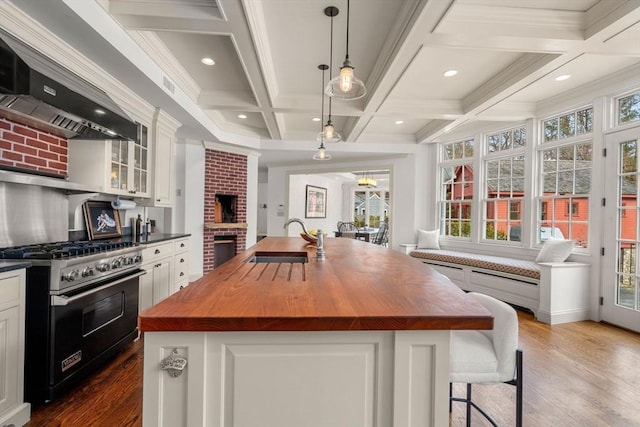 kitchen featuring a sink, butcher block counters, stainless steel stove, exhaust hood, and a kitchen island with sink