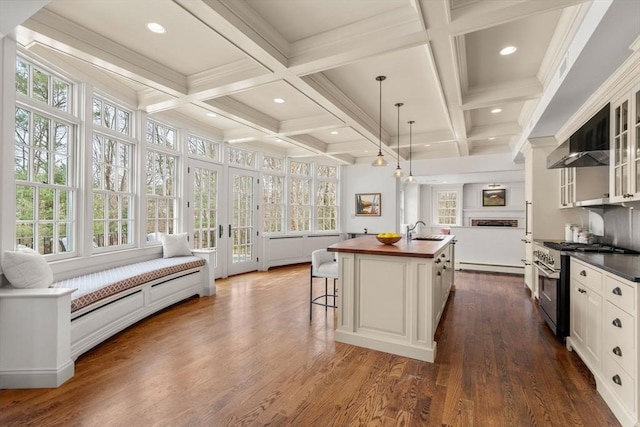 kitchen featuring a sink, glass insert cabinets, butcher block counters, high end stainless steel range oven, and a kitchen island with sink