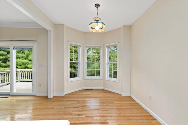 49 Champlain Cir, Plymouth, MA 02360 - unfurnished room with baseboards and light wood-style floors