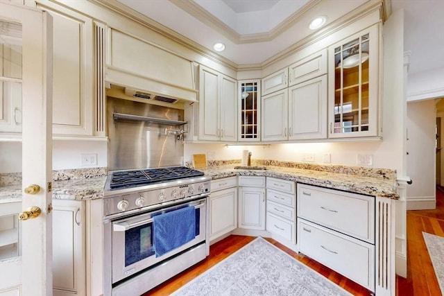 15 Garrison Rd, Brookline, MA 02445 - kitchen with high end stainless steel range, light wood finished floors, light stone countertops, glass insert cabinets, and recessed lighting
