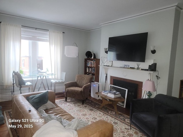15 Garrison Rd, Brookline, MA 02445 - living area featuring a fireplace and wood finished floors